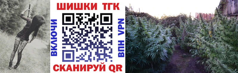 Шишки марихуана гибрид  Евпатория 